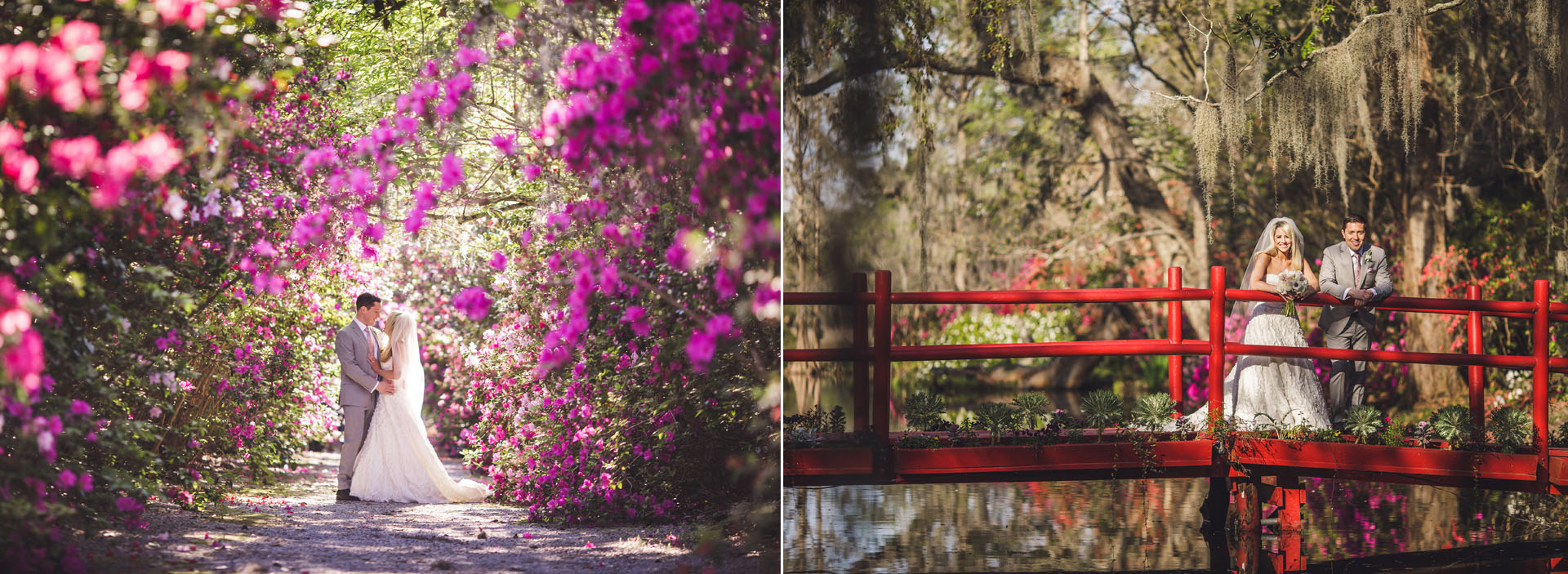 Charleston Azalea Season 