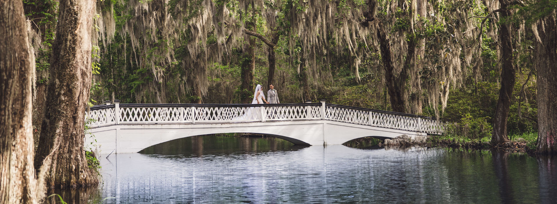 Magnolia Plantation