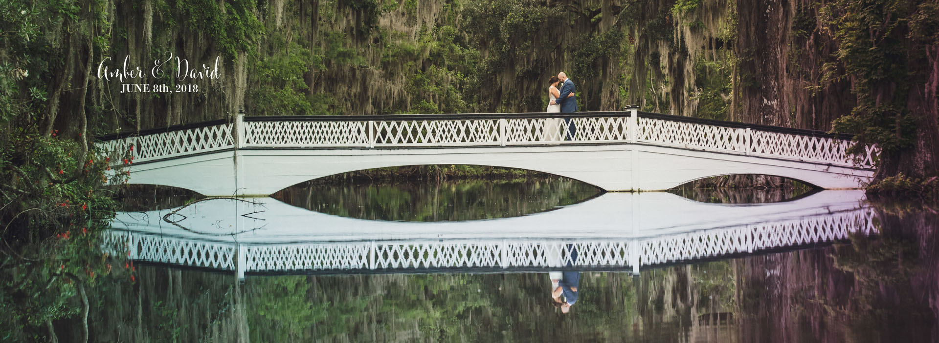 Magnolia Plantation Photography