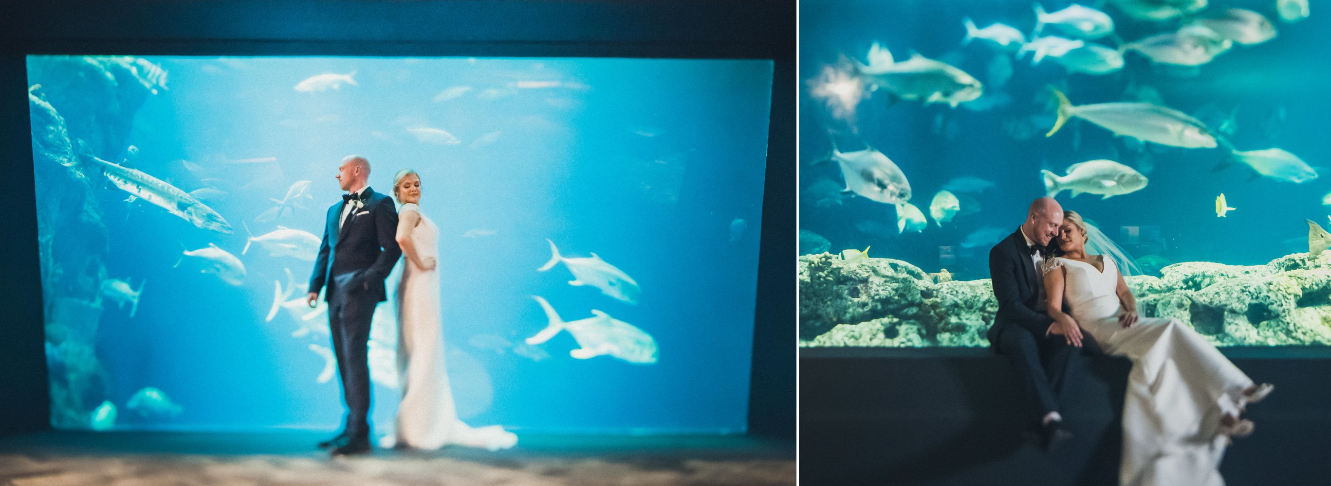 Aquarium Wedding