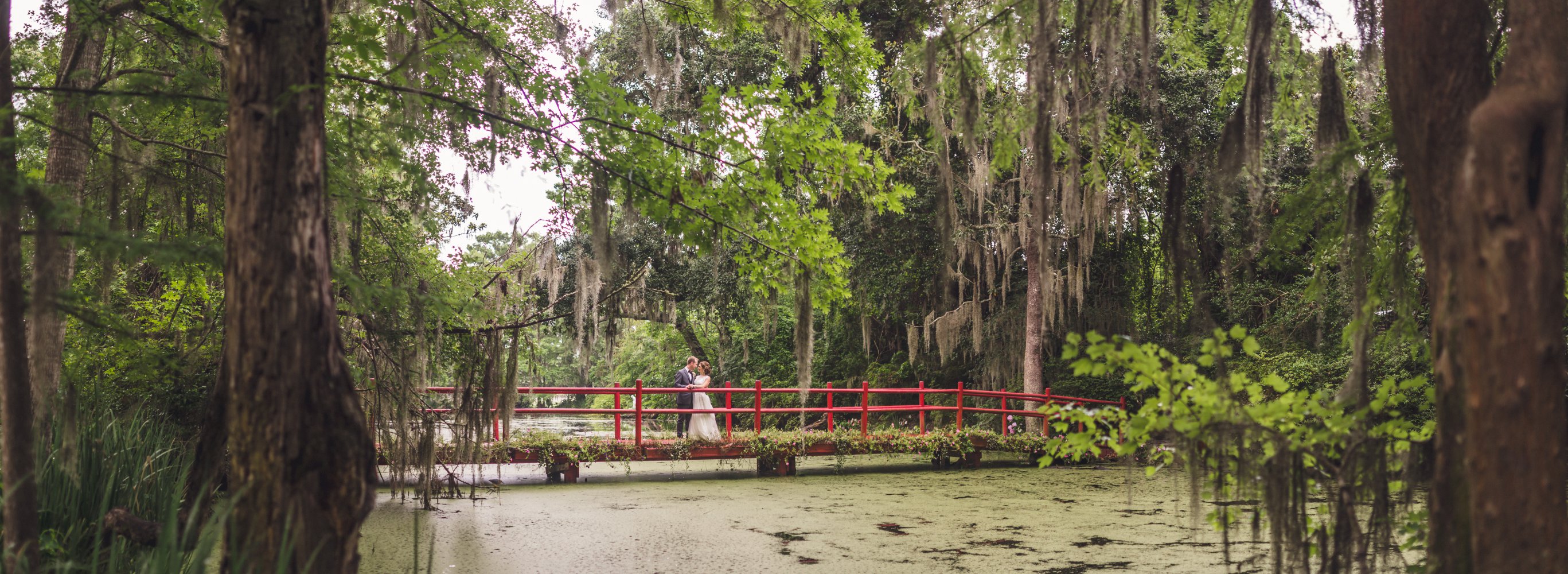 Magnolia Plantation wedding