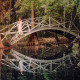 Bridal Portrait on Magnolia Plantation Bridge