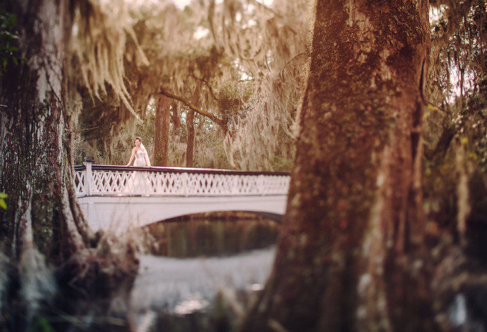 Long White Bridge at Magnolia Plantation