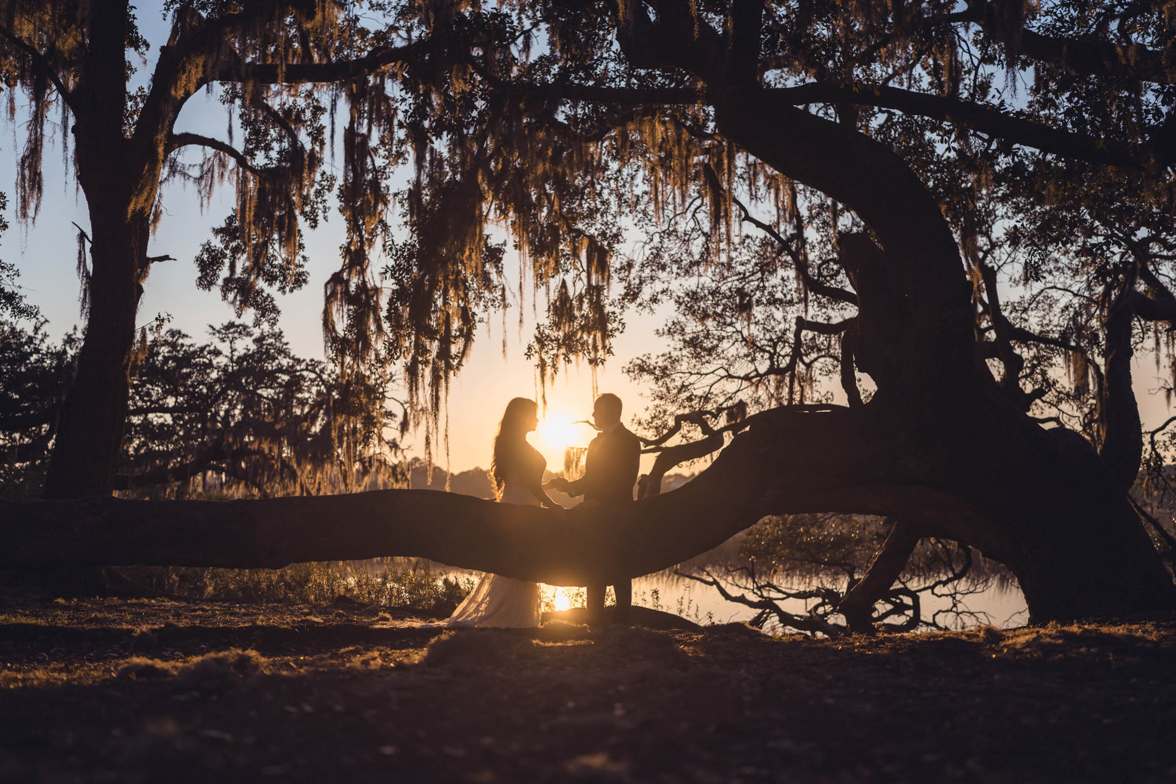 Boone Hall Oak Tree Sunset Portrait Bride and groom silhouetted beneath a sprawling live oak draped in Spanish moss at sunset