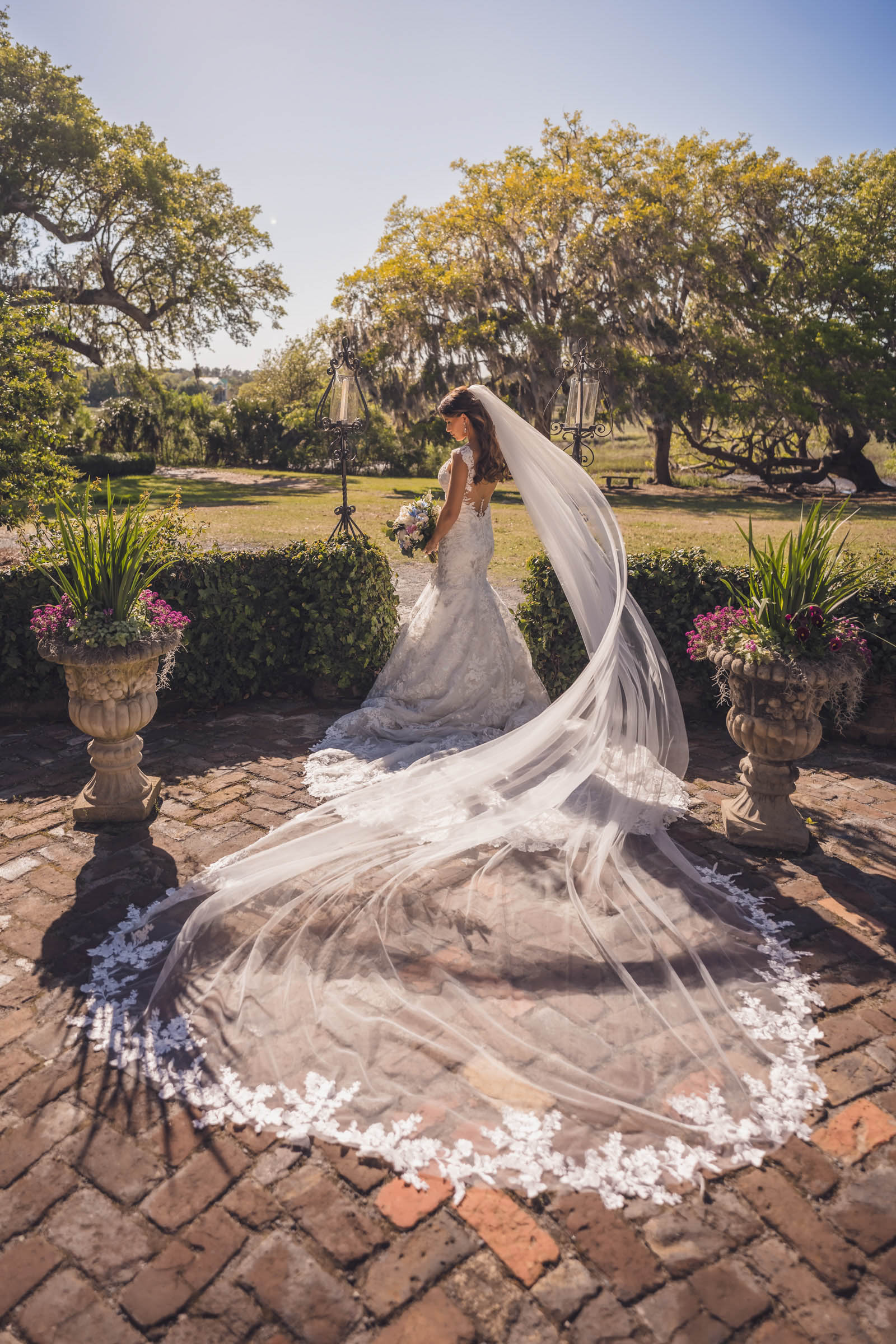 Boone Hall Bridal Veil Portrait Bride showing her long lace-edged veil on a brick terrace overlooking the grounds at Boone Hall