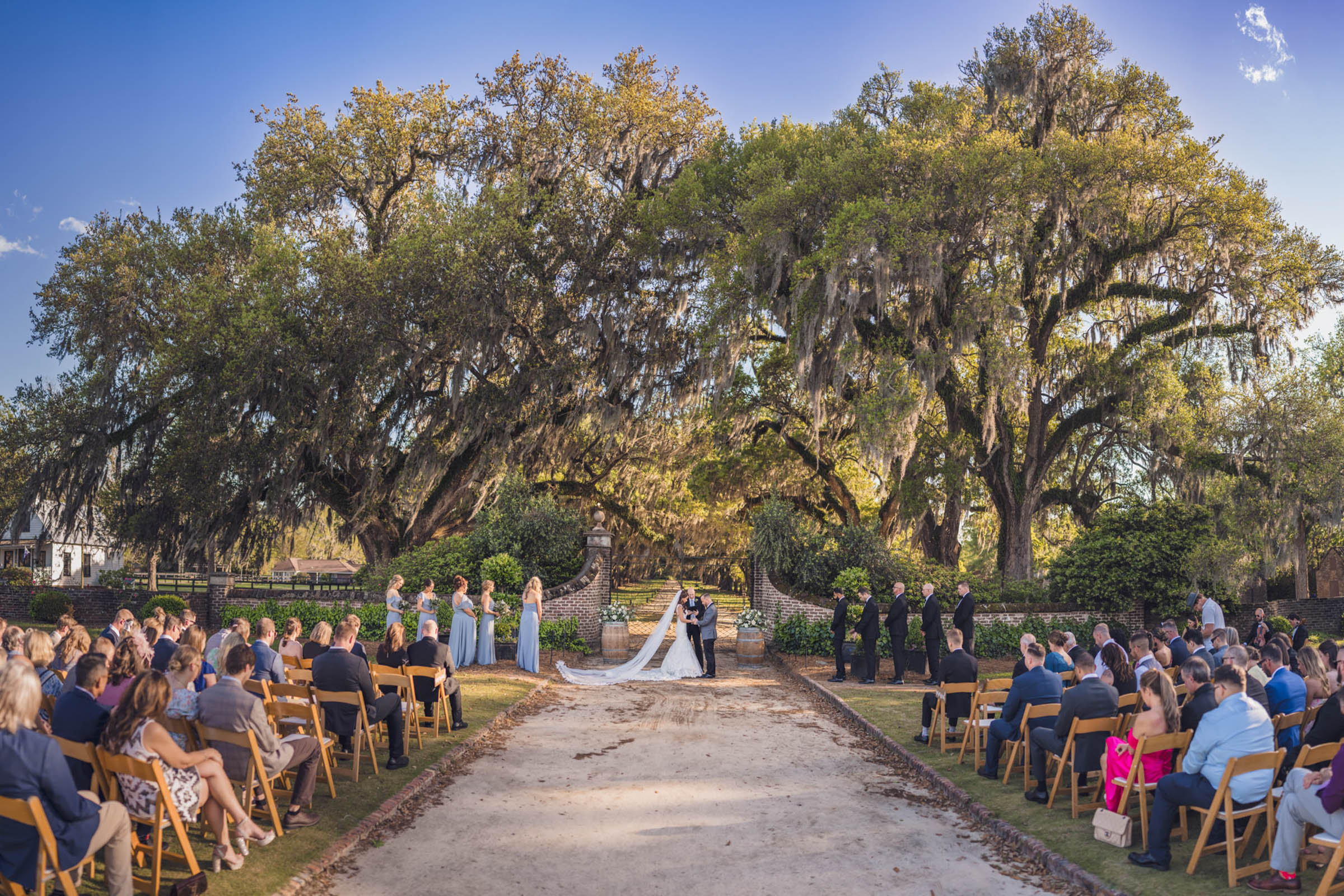 Boone Hall Outdoor Wedding Ceremony Wide view of a wedding ceremony beneath live oaks and Spanish moss at Boone Hall Plantation