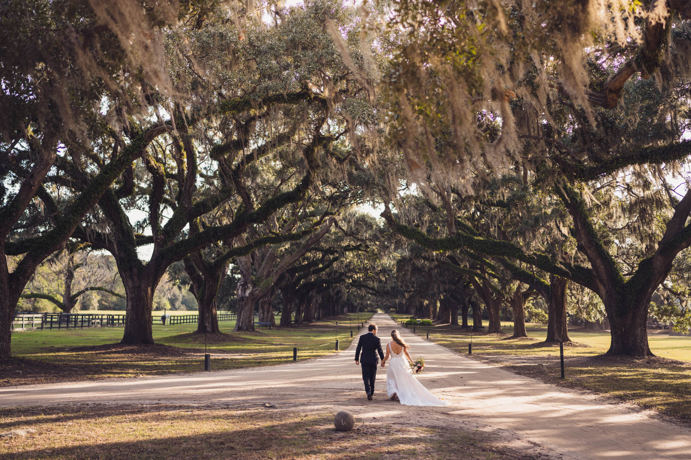 Boone Hall Avenue of Oaks Newlyweds Bride and groom walking hand in hand beneath the live oaks and Spanish moss of the Avenue of Oaks at Boone Hall