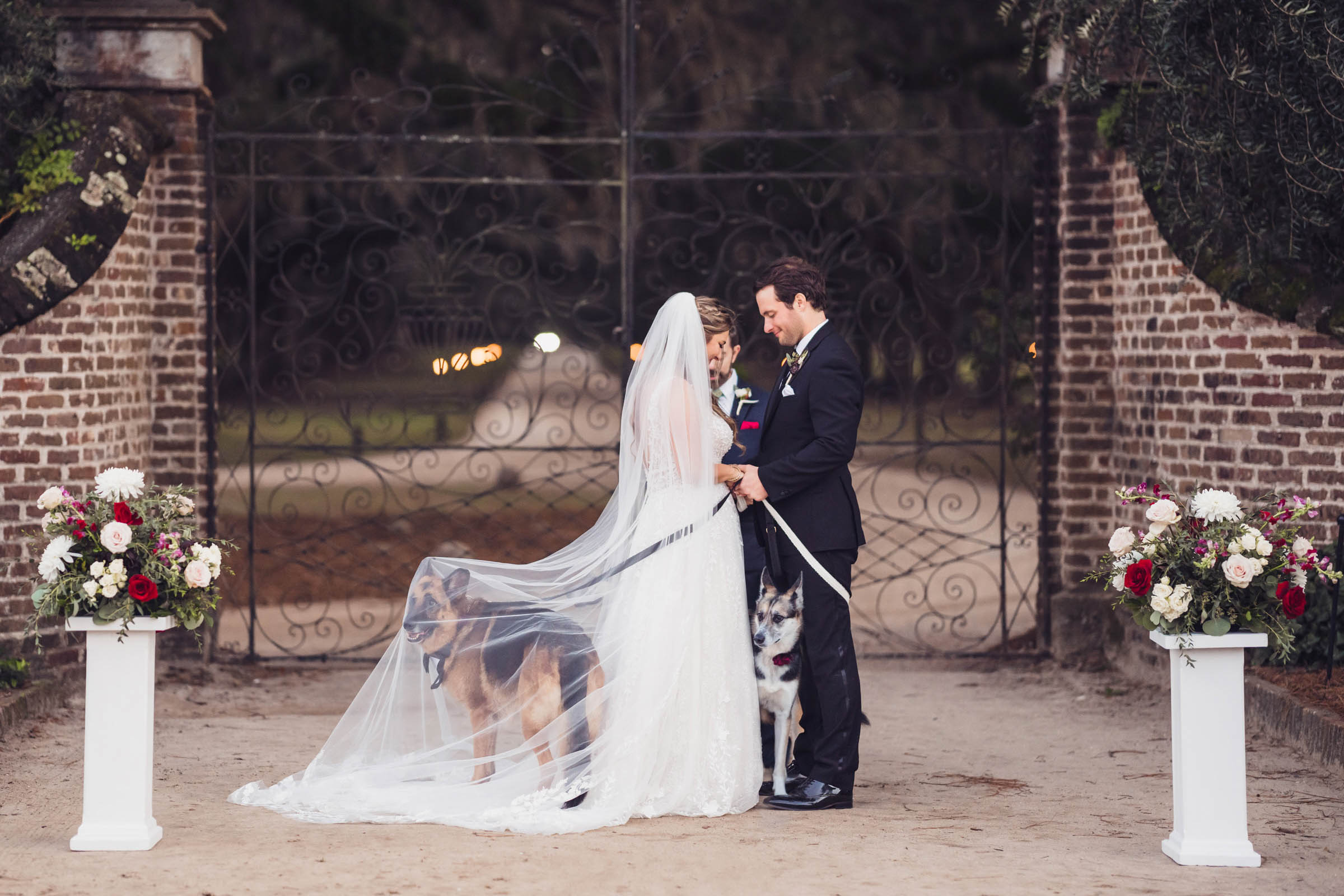 Boone Hall Wedding Ceremony with Dogs Bride and groom standing with their two dogs during an outdoor wedding ceremony at the Boone Hall gates