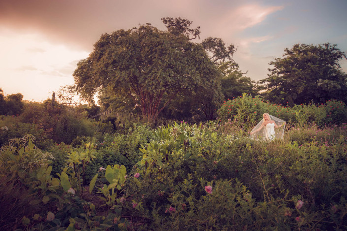 Boone Hall Plantation Garden