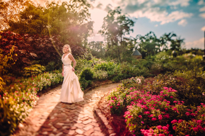 The Garden at Boone Hall