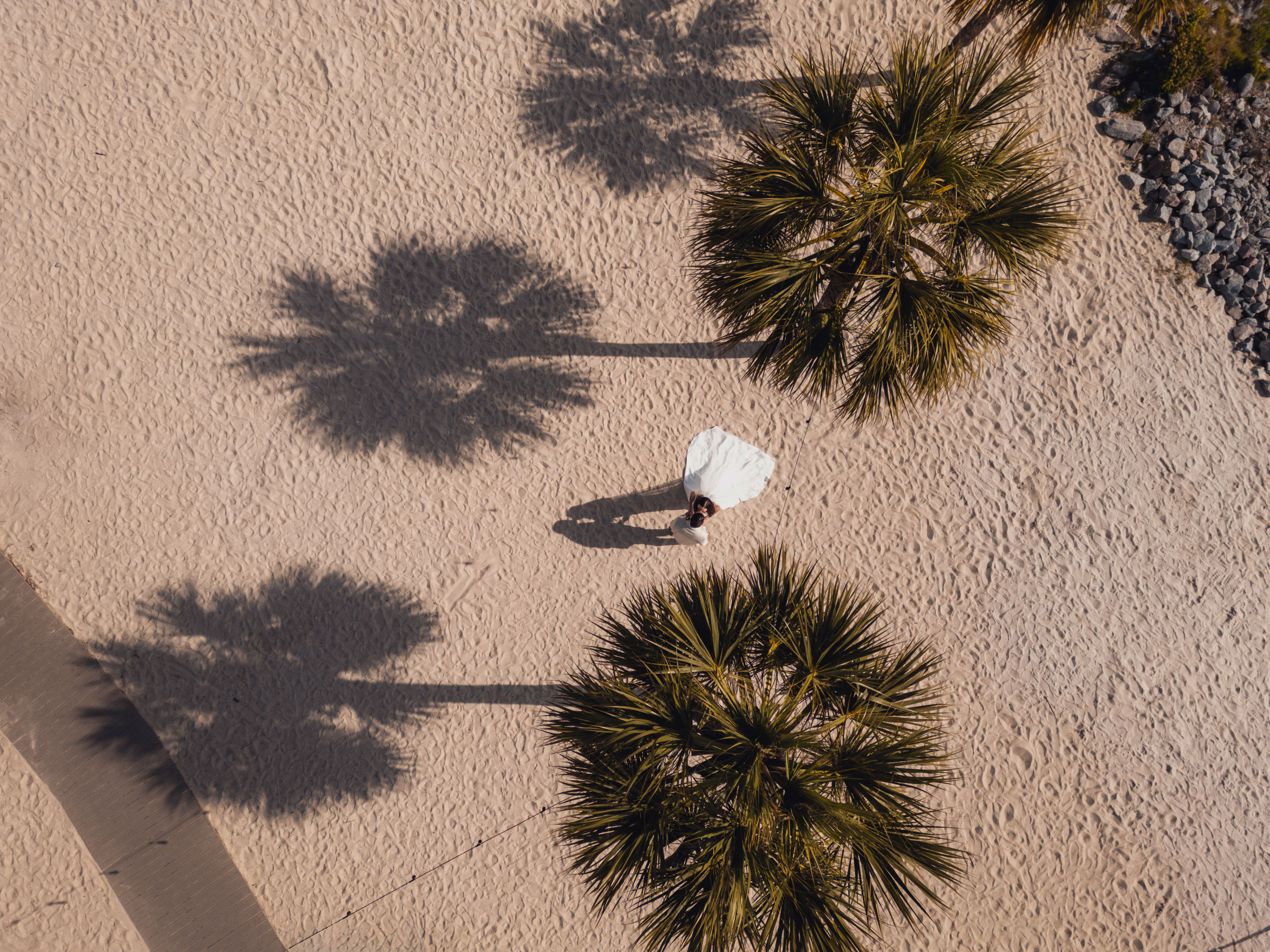 Overhead drone photograph of newlyweds kissing on the sand between the long shadows of palm trees.