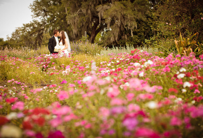 weddings at Boone Hall Plantation