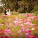 weddings at Boone Hall Plantation