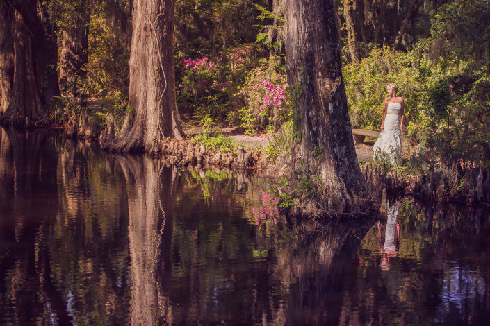 In the Cypress Trees