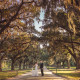 weddings at Boone Hall Plantation