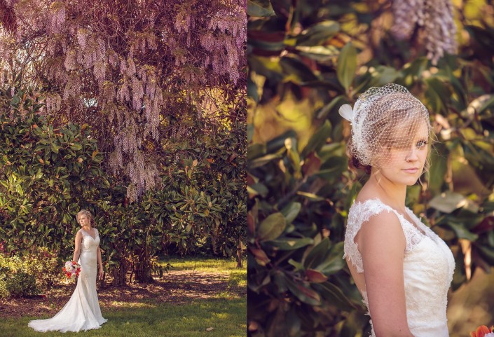 Bridal portrait under wisteria