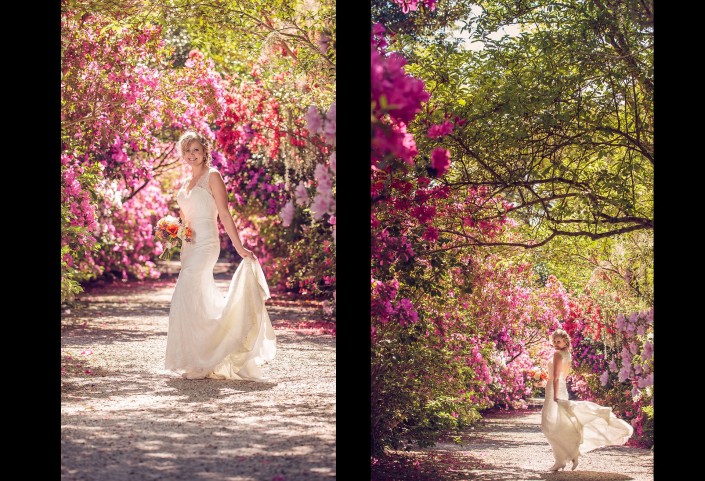 Bridal Portraits in the Avenue of Azaleas