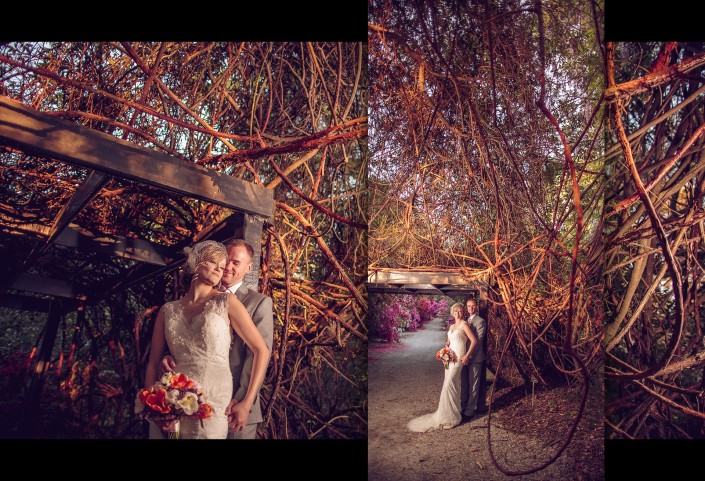 Bride and Groom in the vines