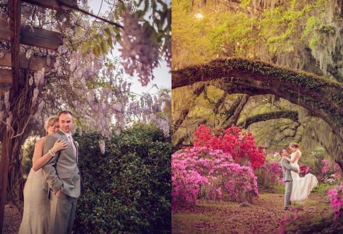 Azaleas, Oaks, and Wisteria