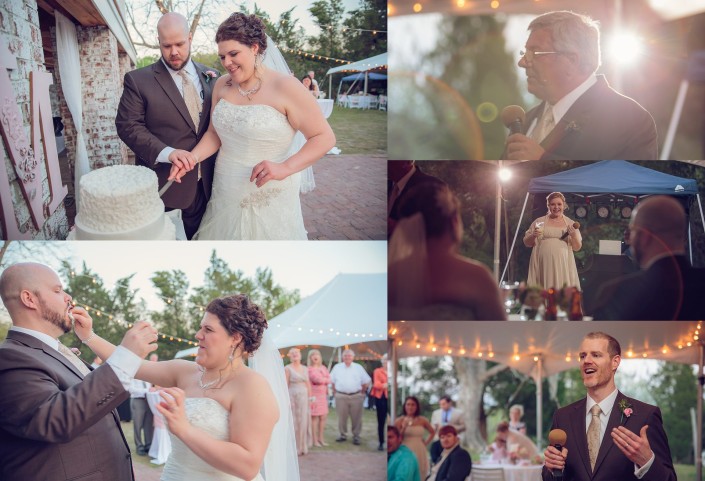 Cutting the Cake and Toasts