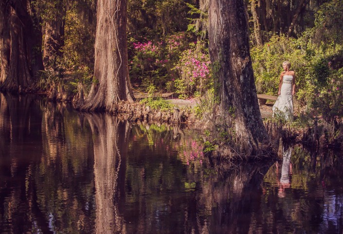 The Bride and the Cypress Knees