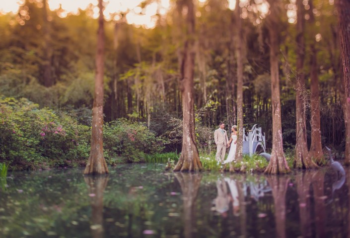 Forbidden Island at Magnolia Plantation