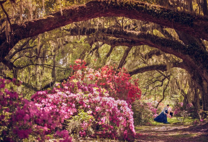 Magnolia Plantation Azaleas and Oaks Wedding