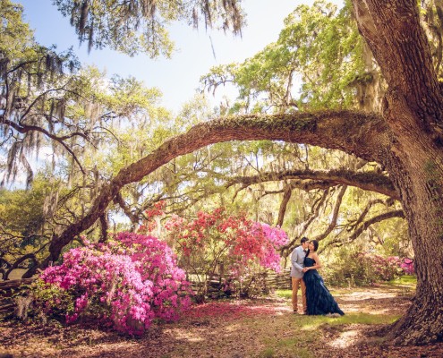 Under the Oaks at Magnolia Plantation