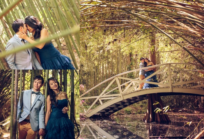 Bamboo Grove at Magnolia Plantation