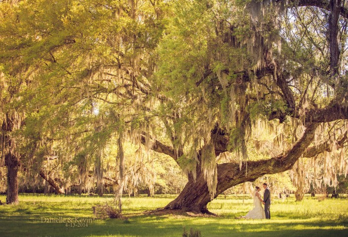 Magnolia Plantation Wedding Under the Oaks