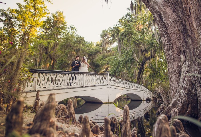 Long White Bridge and Cypress Knees