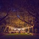 Magical reception in the Oak Boulevard at Charlestowne Landing