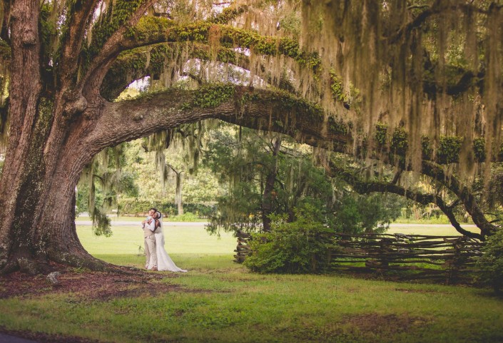 Under the oaks at Magnolia Plantation