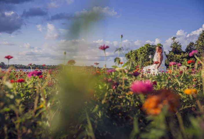 Island House Wedding Photography