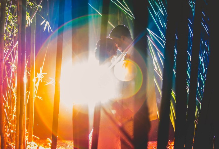 Rainbow in the Bamboo Forest