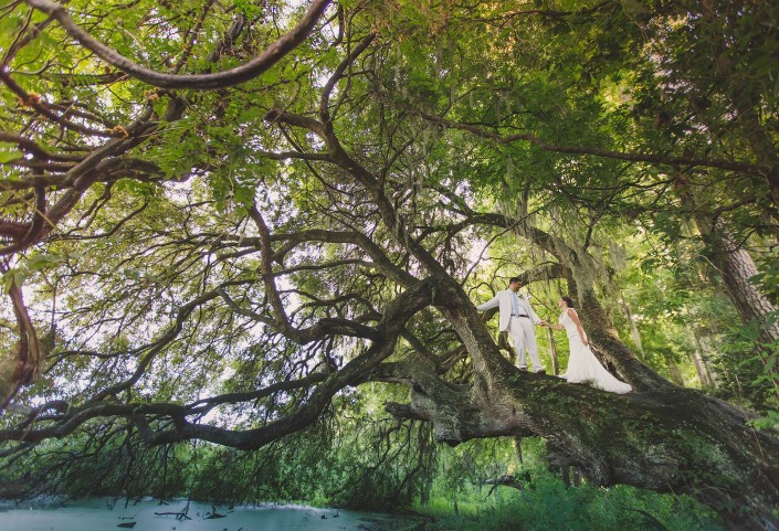 Over the river at Magnolia Plantation