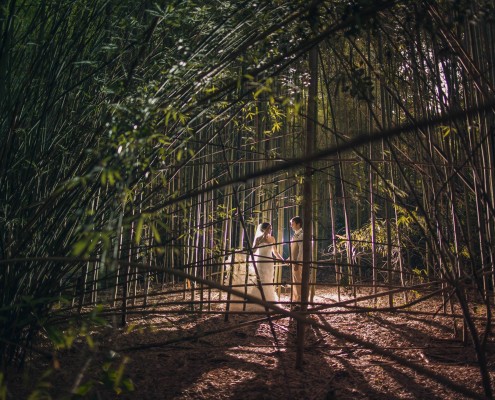 Magnolia Plantation Bamboo Photograph