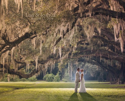 Magnolia Plantation Wedding Photographer