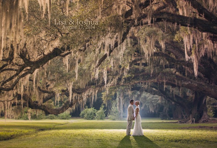 Magnolia Plantation Wedding Photographer