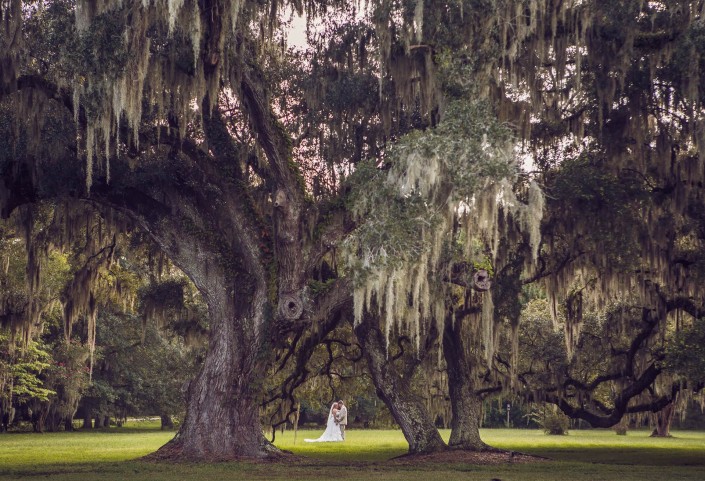 Plantation Wedding Photos