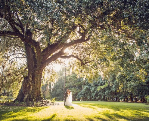 Magnolia Plantation Ancient Oak Wedding