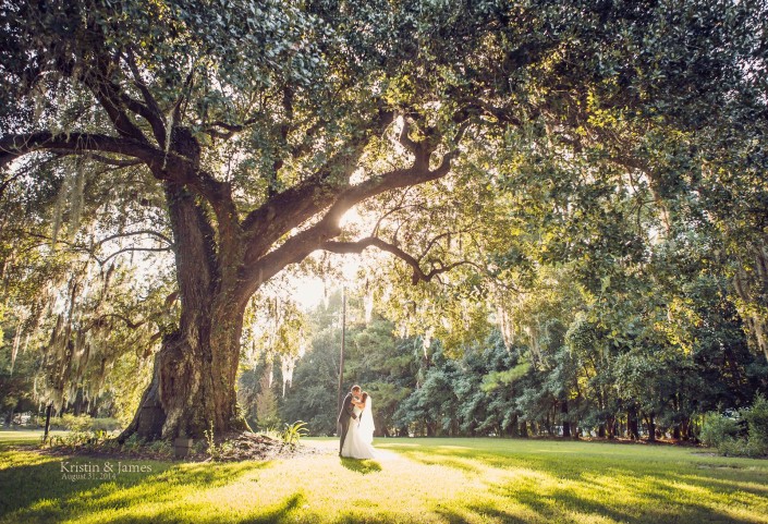 Magnolia Plantation Ancient Oak Wedding