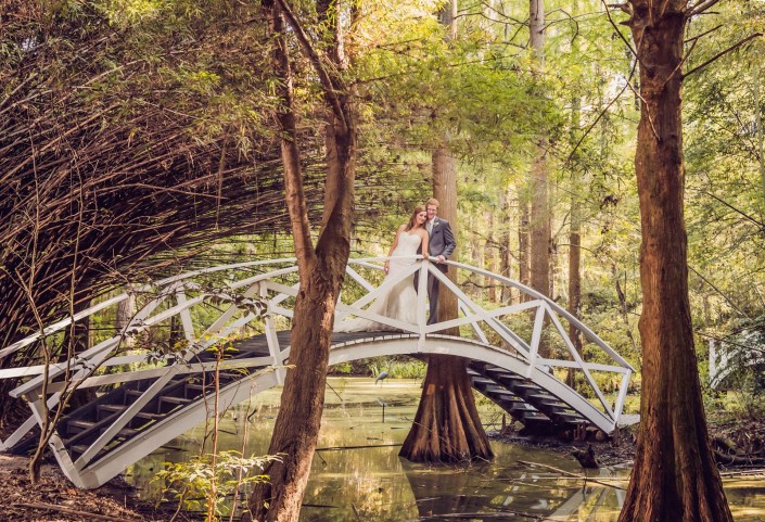 Bamboo Forrest in Magnolia Plantation Wedding