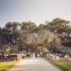 Ceremony Photo at Boone Hall Plantation