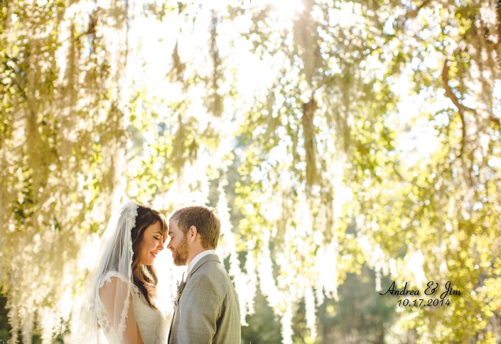 Under the Oaks at Magnolia Plantation