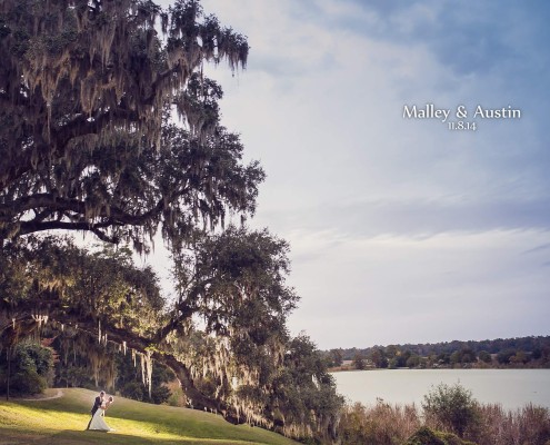 Wedding at Middleton Place Plantation