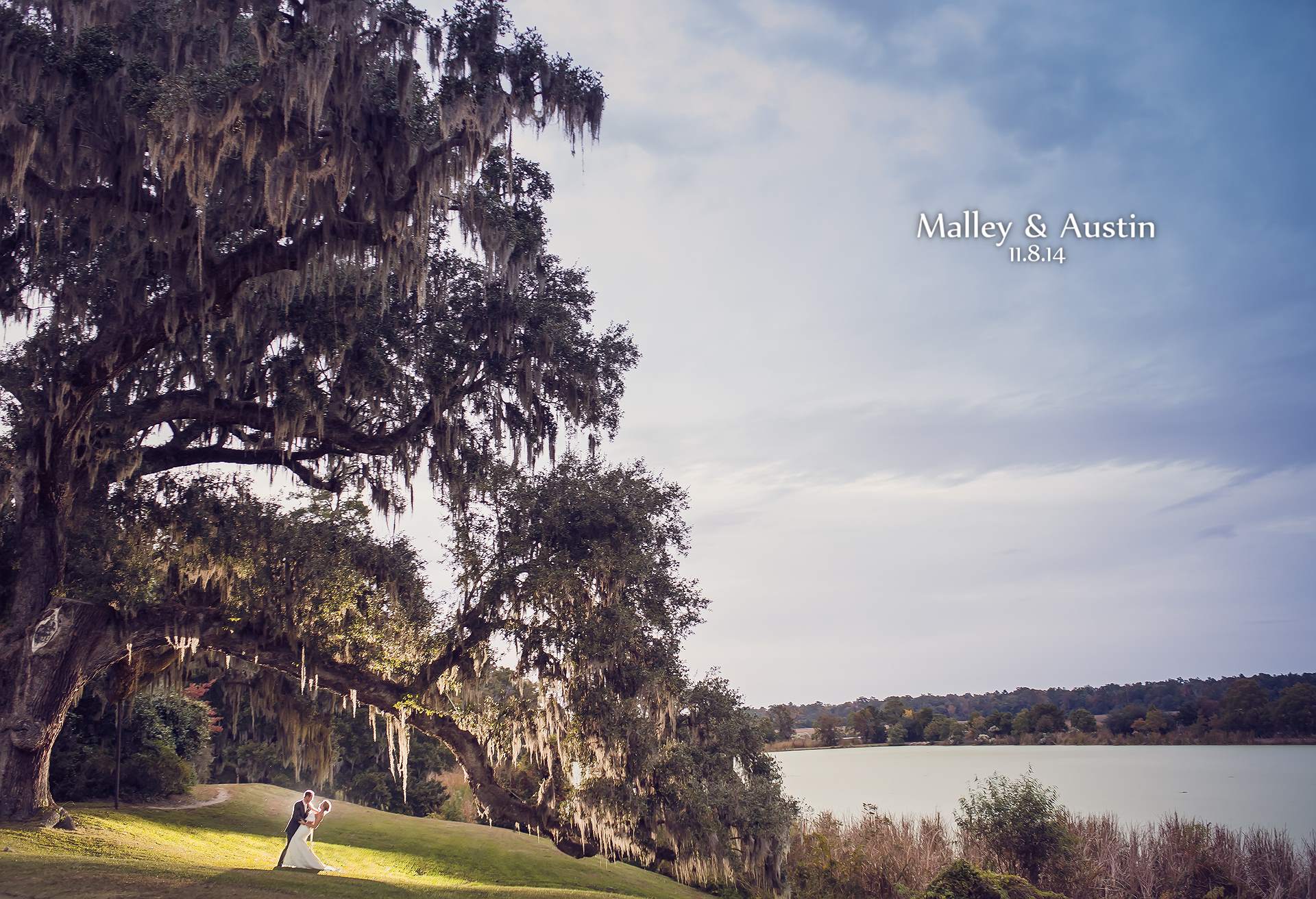 Wedding at Middleton Place Plantation