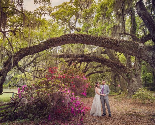 Wedding at Magnolia Plantation and Gardens