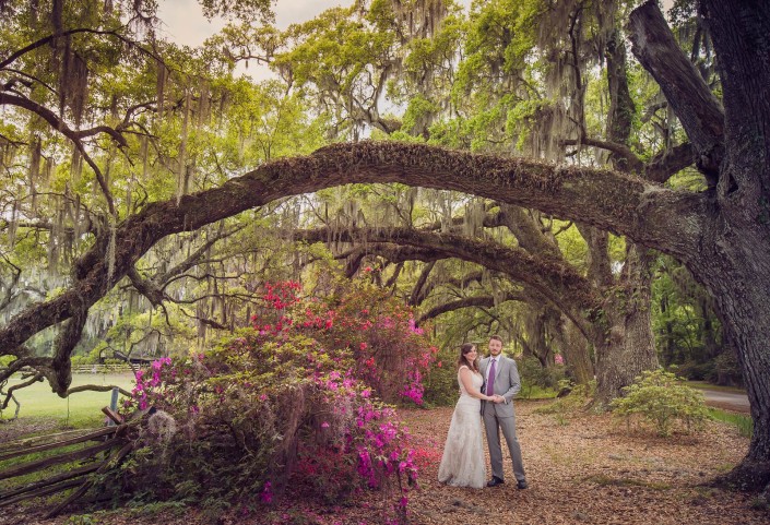 Wedding at Magnolia Plantation and Gardens