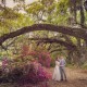 Wedding at Magnolia Plantation and Gardens